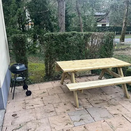 Embruns Nouveau Dans Arboree *