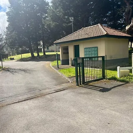 Embruns Nouveau Dans Arboree Neufchâtel-Hardelot